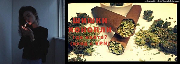шишки Бородино
