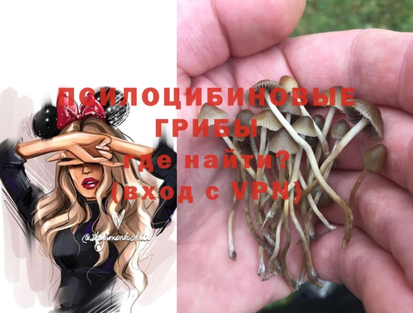 таблы Вяземский