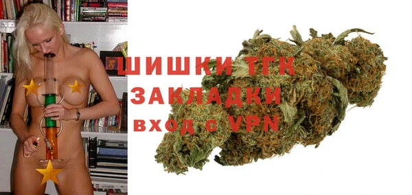 шишки Бородино