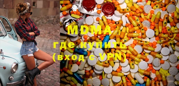 шишки Бородино