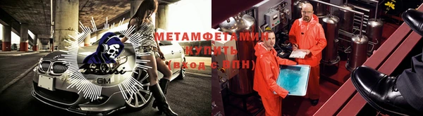 прущие грибы Бугульма